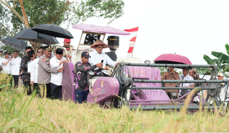 Screenshot 2025-09-18 at 01.00.45