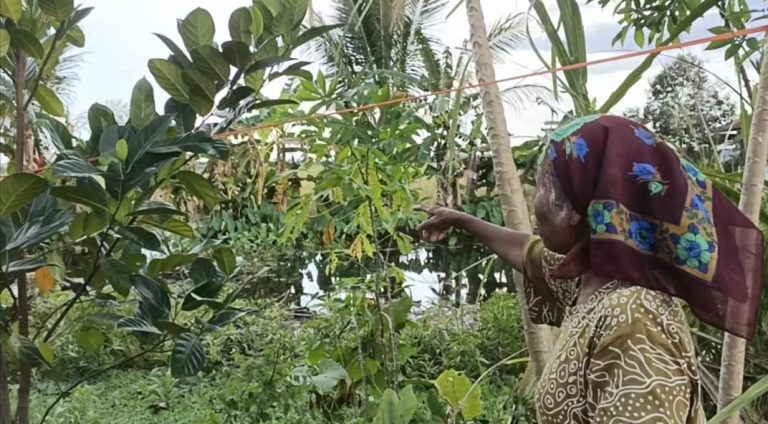 Keajaiban di Tengah Bencana, Bayi 9 Bulan Selamat Setelah Terlempar 50 Meter