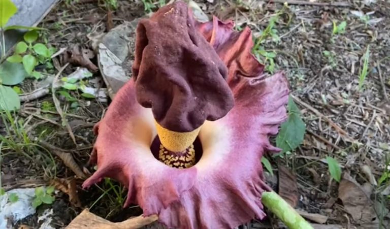 WhatsApp Image 2025-11-22 at 09.31.20