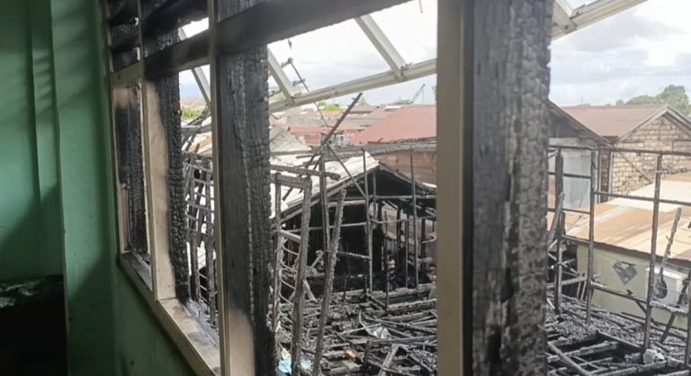 WhatsApp Image 2025-11-22 at 17.39.39