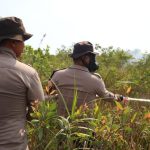 Karhutla Dekat Ponpes Darul Ilmi Berhasil Dipadamkan, Polda Kalsel Turunkan Personel IMG_4726-768x512